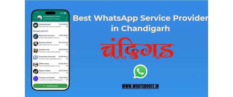 Guide Pratique 2025 : Choisir le Meilleur Service WhatsApp pour les Entreprises de Chandigarh